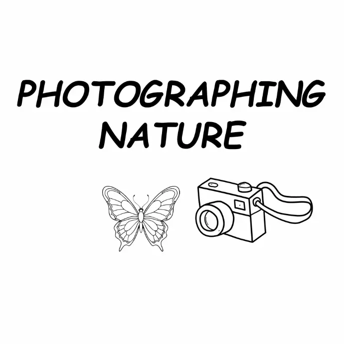 Photographing Icon